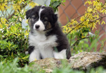 homepage_juni_14004013.jpg