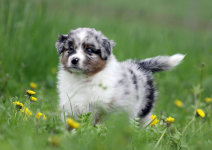 homepage_juni_14004014.jpg