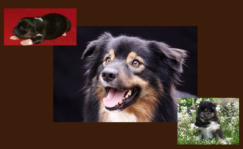 homepage_juni_14005001.jpg