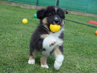 homepage_juni_14011001.jpg