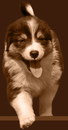 homepage_juni_14013009.jpg