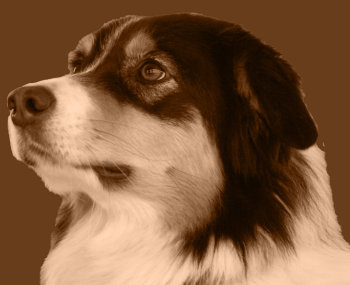 homepage_juni_14013016.jpg