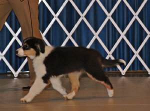 homepage_juni_14014003.jpg